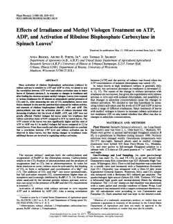 ADP, and Activation of Ribulose Bisphosphate