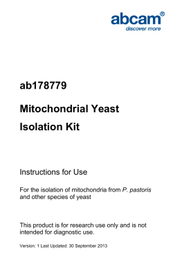 ab178779 Mitochondrial Yeast Isolation Kit