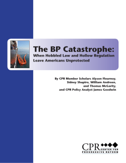 The BP Catastrophe - Center for Progressive Reform