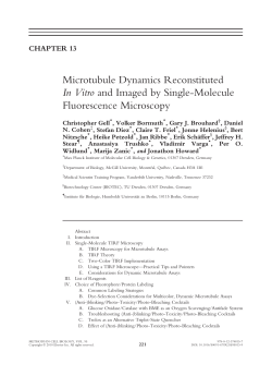 Microtubule Dynamics Reconstituted In Vitro and Imaged by Single