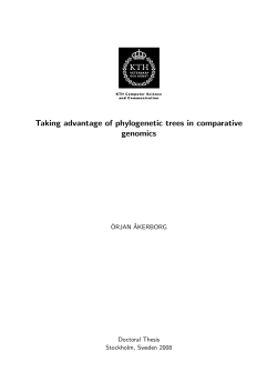 Taking advantage of phylogenetic trees in comparative