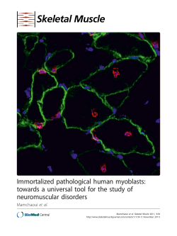 Immortalized pathological human myoblasts: towards a universal