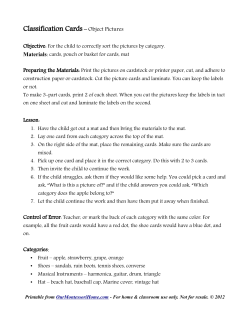 Classification Cards – Object Pictures