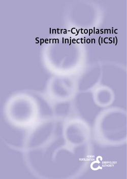 Intra-Cytoplasmic Sperm Injection (ICSI)