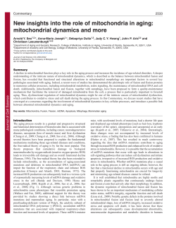 New insights into the role of mitochondria in aging: mitochondrial