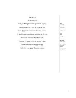 The Wind - Net Texts