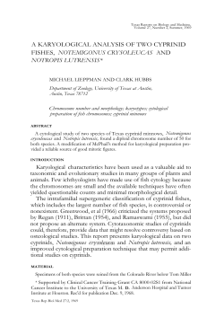 A KARYOLOGICAL ANALYSIS OF TWO CYPRINID FISHES
