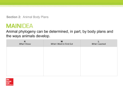 Animal phylogeny can be determined, in part, by body plans and the