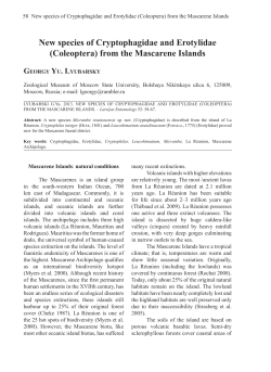 New species of Cryptophagidae and Erotylidae (Coleoptera) from