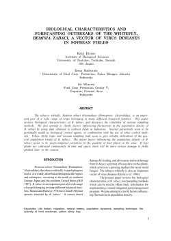 biological characteristics and forecasting outbreaks of the whitefly