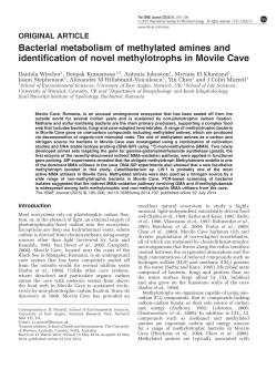 Bacterial metabolism of methylated amines and