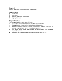 Chapter 10 - Agency, Business Organizations, and