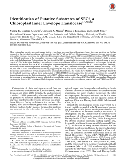 Identification of Putative Substrates of SEC2, a Chloroplast Inner