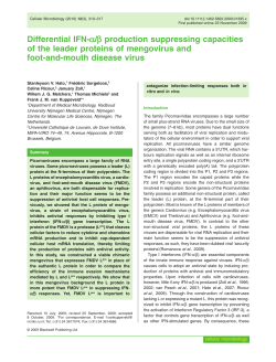 Differential IFN‐&alpha;/&beta; production suppressing capacities of the leader