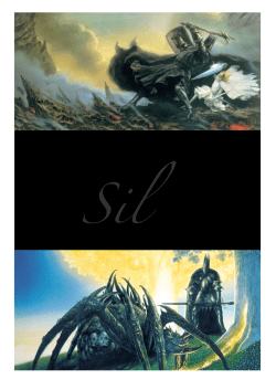 Sil Manual - a mirror clear