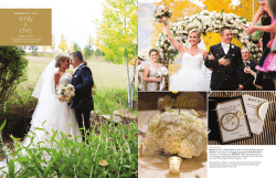 emily chris - Squarespace