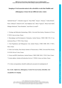 Imaging of viral neuroinvasion in the zebrafish reveals that Sindbis