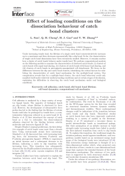 Effect of loading conditions on the dissociation behaviour of catch