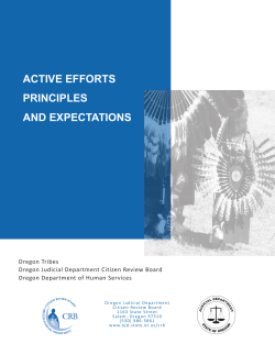 active efforts principles and expectations