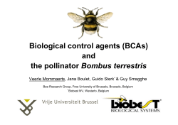 Biological control agents (BCAs) and the pollinator Bombus