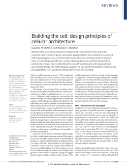 Building the cell: design principles of cellular