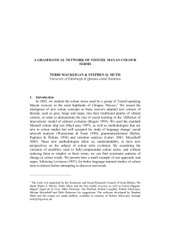 A GRAMMATICAL NETWORK OF TZOTZIL MAYAN COLOUR