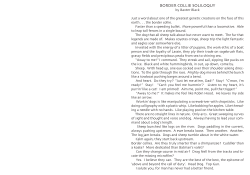 border collie soliloquy