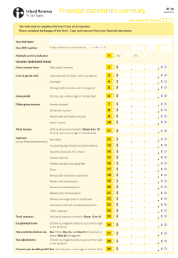 Financial statements summary