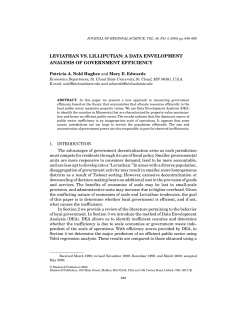 LEVIATHAN VS. LILLIPUTIAN: A DATA ENVELOPMENT ANALYSIS