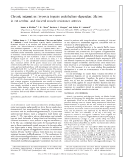 RNA Binding Activity of the Ribulose-1,5