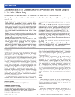 Anandamide Enhances Extracellular Levels of Adenosine