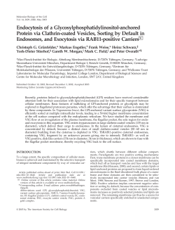 Endocytosis of a Glycosylphosphatidylinositol