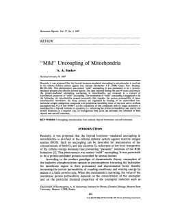 "Mild" Uncoupling of Mitochondria