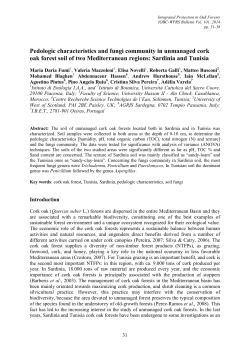 Pedologic characteristics and fungi community in unmanaged cork