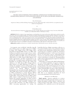 sex bias adult feeding for gumweed (asteraceae) flower nectar and