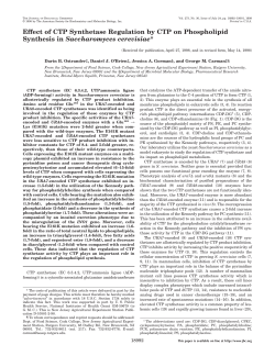 Effect of CTP Synthetase Regulation by CTP on Phospholipid