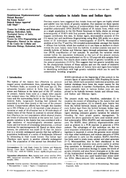 Genetic variation in Asiatic lions and Indian tigers