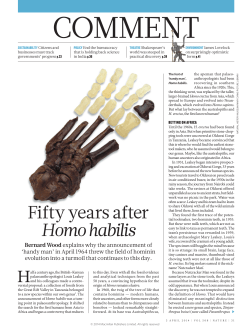 Fifty years after Homo habilis