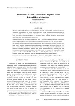 Paramecium Caudatum Exhibits Motile Responses Due to External