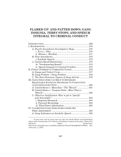 flamed up1 and patted down: gang insignia, terry stops, and speech