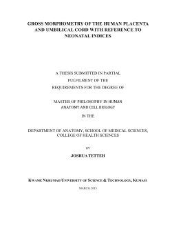 GROSS MORPHOMETRY OF THE HUMAN PLACENTA AND