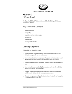 BCS311 Module 7