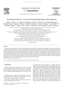 Evolving in thin air&mdash;Lessons from the llama fetus in the altiplano