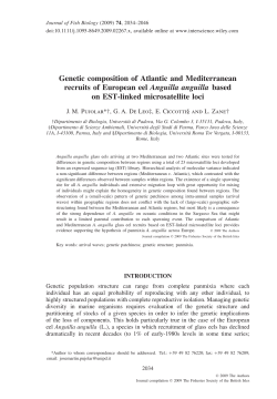 Genetic composition of Atlantic and Mediterranean recruits of