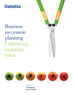 Business succession planning, volume 3