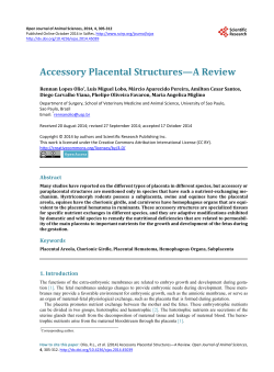 Accessory Placental Structures&mdash;A Review