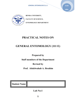 PRACTICAL NOTES ON GENERAL ENTOMOLOGY (111 E)