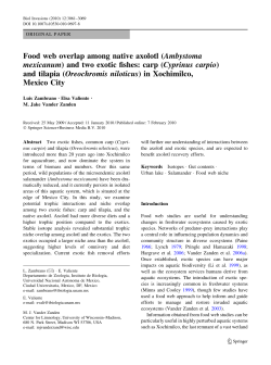 Food web overlap among native axolotl