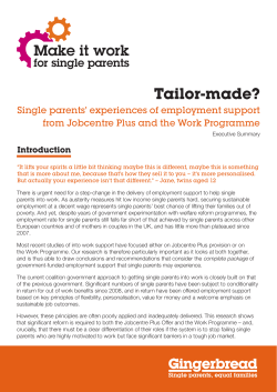 Tailor-made exec summary FINAL