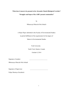 i What does it mean to be peasant in the Alexander Skutch